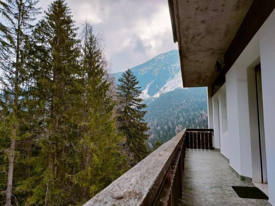 Il Terrazzo Sulle Dolomiti Cibiana Exterior foto