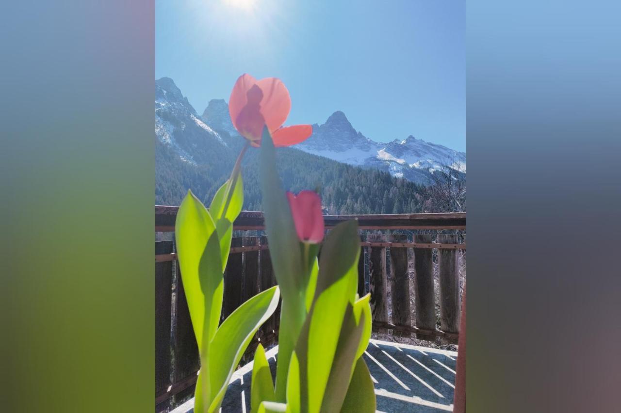 Il Terrazzo Sulle Dolomiti Cibiana Exterior foto