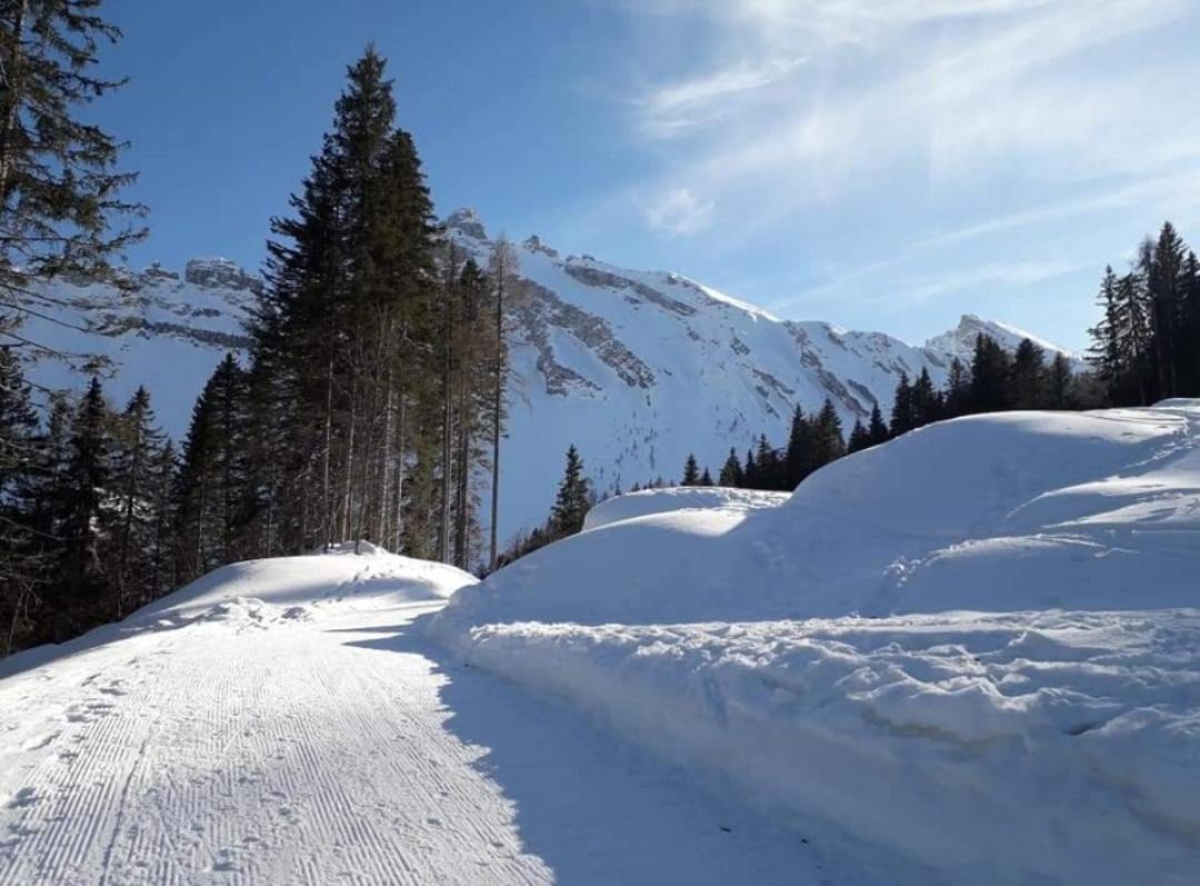 Il Terrazzo Sulle Dolomiti Cibiana Exterior foto