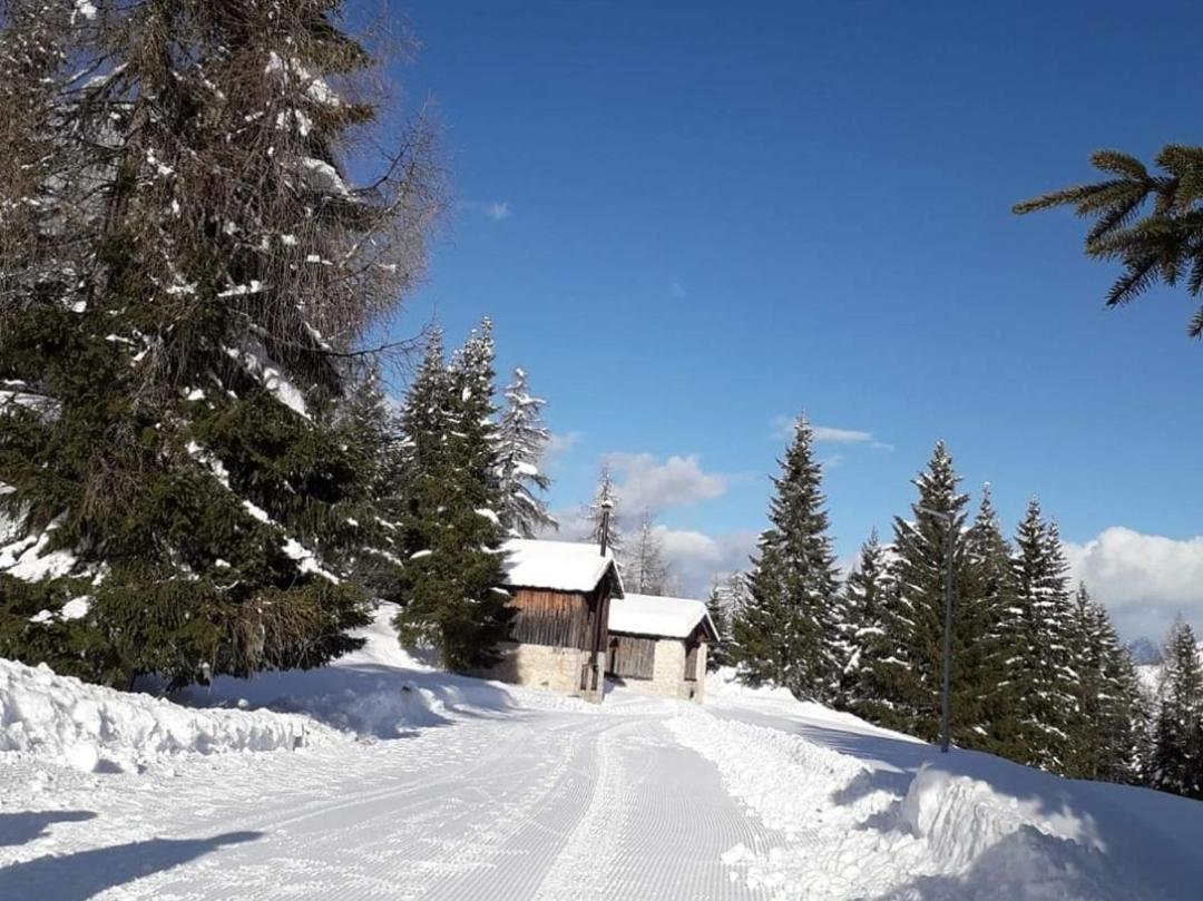 Il Terrazzo Sulle Dolomiti Cibiana Exterior foto